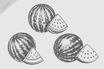 engraving style fruit watermelon vector illustration. Vintage retro watermelon © SAGOR