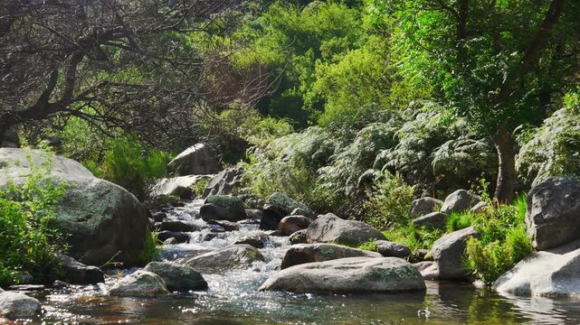 Clear freshwater river flowing steadily between large stones with a vibrant green forest in the mountains of Cordoba, Argentina