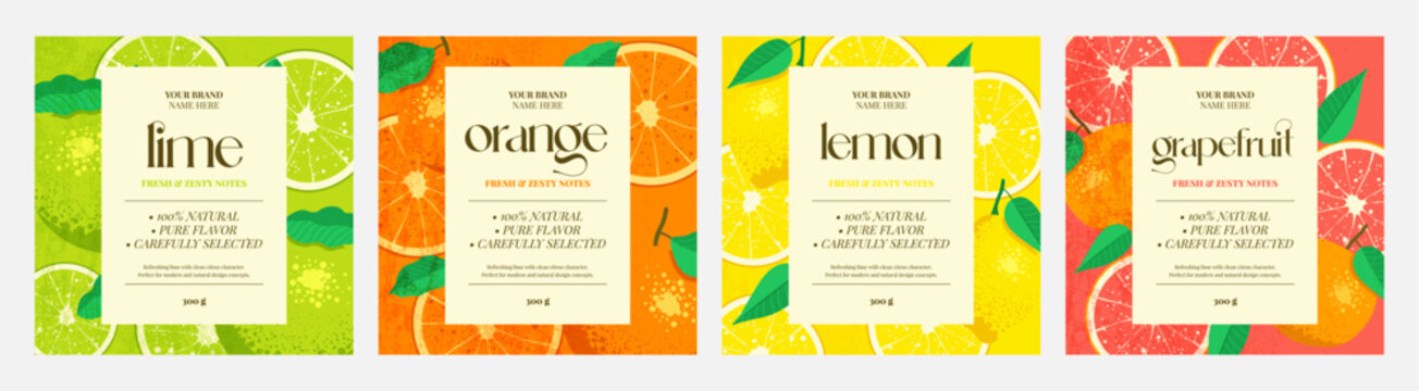 Grapefruit, lime, orange, lemon label design set. Fresh bright templates for labels, packaging, products, branding, design project. Vector illustration