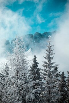 Montagna tra le nuvole dietro gli alberi sul Monte Lussari, Italia.