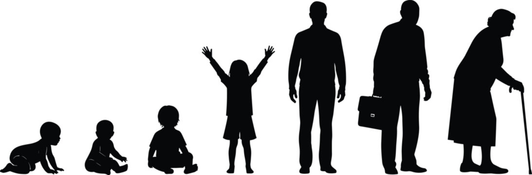 Human life cycle silhouettes showing baby toddler child growth adulthood aging senior stages evolution of life isolated vector concept illustration