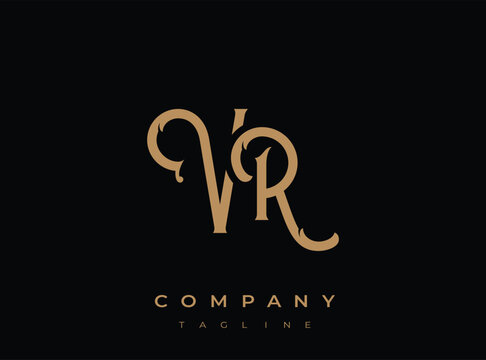 Elegant vr company logo design with luxurious typography and branding