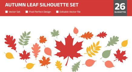 Fototapeta premium Autumn leaf silhouette set with diverse fall foliage icons featuring maple oak and rowan leaves in red orange yellow and green colors for seasonal nature design