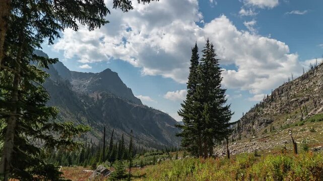Clouds moving over a mountain valley with tall fir trees, a meadow and a burned slope, Beartooth Mountains, Montana, time lapse