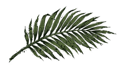 Green palm leaf illustration on white background