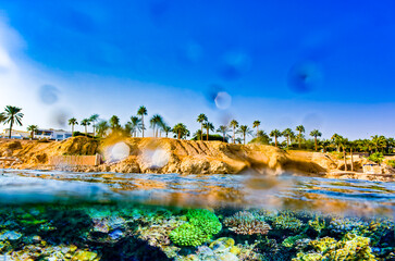 Magnificent underwater world in tropical ocean.