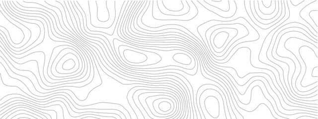 Abstract topographic map lines seamless vector pattern great for backgrounds and textures © Romana