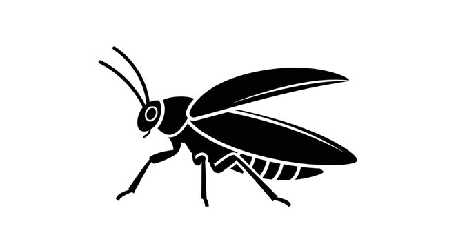 Insect illustration with large wings.
