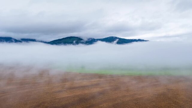 Aerial hyperlapse flying through morning fog over golden fields with mountains peeking through, Ovando, Montana