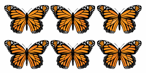 Six monarch butterflies arranged in a symmetrical repeating pattern © Subarna