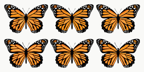 Six monarch butterflies arranged in a symmetrical grid pattern © Achinta