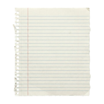 Blank lined notebook paper with torn spiral edge