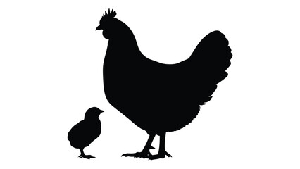 A large hen standing next to a small chick © SILHUETTECHEMBER
