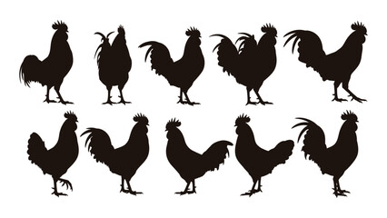 Collection of roosters and hens in various poses © SILHUETTECHEMBER