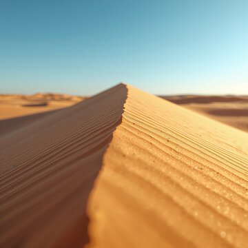 Golden sand dunes stretching towards a clear blue sky, a breathtaking desert landscape under the warm sun, evoking a sense of vastness and tranquility