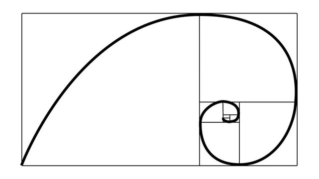 golden swirl pattern motion on black background.Golden ratio transparent video - The Fibonacci Sequence animated with lines shape. 4k video Alpha channel animation white background