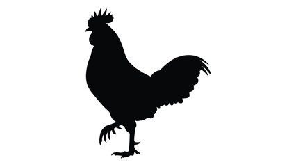 A black silhouette of a rooster standing on one leg © SILHUETTECHEMBER