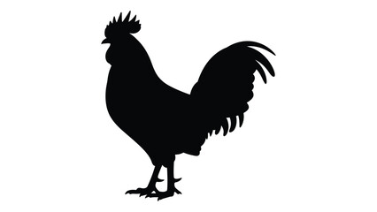 A black silhouette of a rooster standing on a surface © SILHUETTECHEMBER