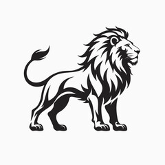 Obraz premium lion vector illustration