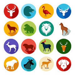 Obraz premium Flat animal icons in colorful circles, long shadow style
