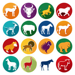 Fototapeta premium Flat Design Animal Icons on Colored Backgrounds Compilation