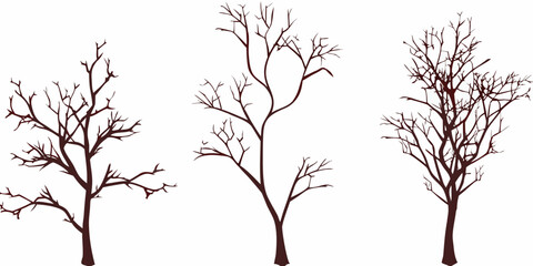 Obraz premium Bare tree branches against a white background in a simple illustration