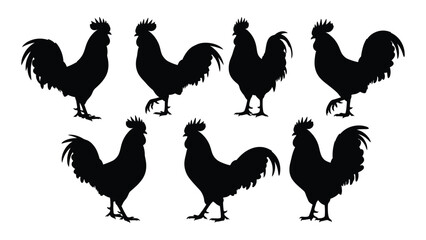 A group of black roosters standing together © SILHUETTECHEMBER