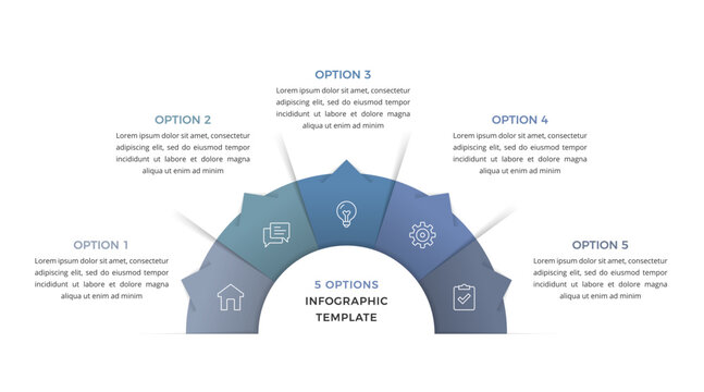 Semi circular infographic with five connected segments