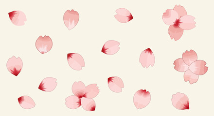 Pink Cherry Blossom Petals Falling Gently on Cream Background - Spring Sakura Flowers