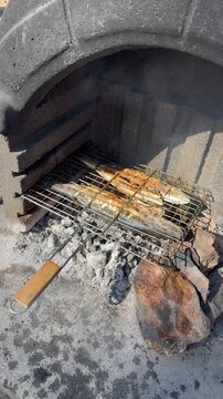 Grilled sea bass (levrek) cooking on a barbecue grate inside a traditional Turkish picnic oven or mangal. Golden brown crispy skin. Outdoor dining. Authentic Turkish seafood preparation.
