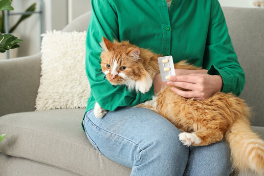 Young woman with cat and anti-parasitic pills sitting on sofa at home, closeup