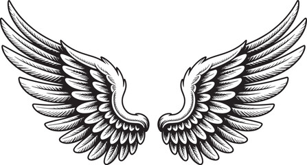 Obraz premium Wings angel pair detailed feathered design spread open vintage style illustration