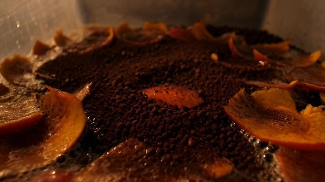 Zero waste compost bin closeup decomposing scraps with coffee grounds and citrus peels breaking down naturally in sustainable organic recycling process