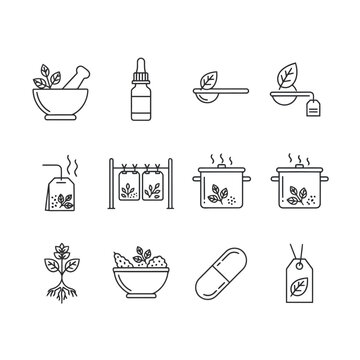 Illustration of various herbal medicine icons in line art style