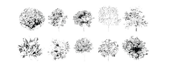 Ten black and white tree silhouettes with varying leaf densities and shapes © eTC dEsIgN