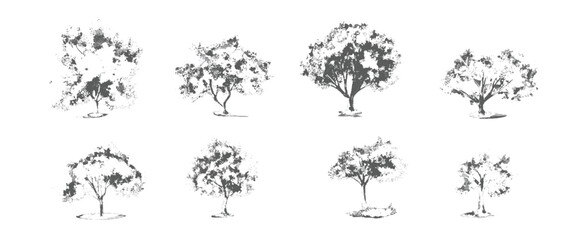 Eight different black and white tree with varying shapes and sizes trees nature © eTC dEsIgN