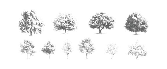 Eight different types of trees in black and white line style line black and white © eTC dEsIgN