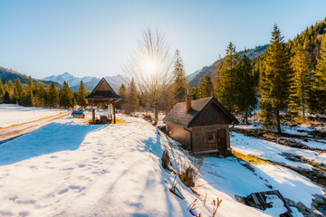 Mountain view with hiking path in Javorova dolina nature reserve during a winter sunny day in Slovakia in High Tatras mountains © Zedspider