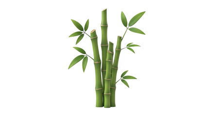 Obraz premium Bamboo Plant with Green Stems and Leaves.
