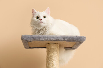 Obraz premium Cute white cat lying on scratching post against beige background