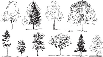 Collection of hand drawn black and white trees nature © miht3325