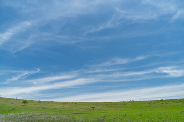 爽やかな朝の高原　霧ヶ峰