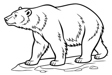 Obraz premium Bear Coloring Book Page Vector Illustration – Black White Bold Line Art, Printable A4, SVG Style, Isolated on White Background