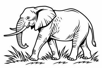 Obraz premium Elephant Coloring Book Page Vector Illustration – Black White Bold Line Art, Printable A4, SVG Style, Isolated on White Background