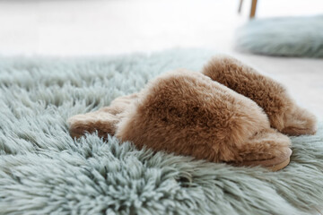 Brown slippers on soft carpet in room, closeup