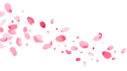 Falling sakura petals scattered in wind isolated floral petals