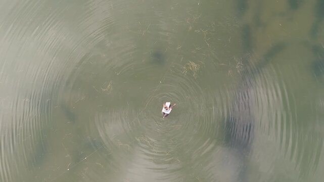 Fisherman on tyre tube casting net aerial view, Man fishing in river with net drone top view, Indian fisherman on tube in water aerial shot, Fishing activity in river from drone perspective.
