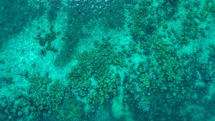 Top view of natural coral formations in shallow sea water with rippling sun reflections, perfect for summer vacation, snorkeling, and environmental conservation themes. concept environment lagoon. © Media 