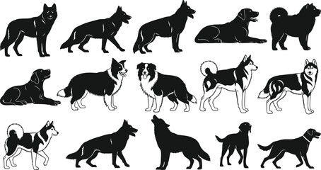 Silhouettes and detailed illustrations of dog breeds, standing, walking, lying down, Huskies, Collies, Retrievers, canine diversity, pet lifestyle, vector art, design, education