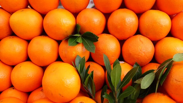 Fresh pile of organic oranges stacked on display at local farmers market